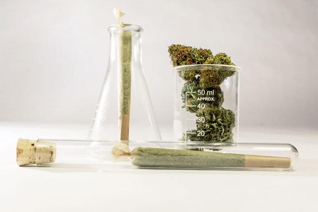 Cannabis Bud-the dope warehouse- Cannabis south africa