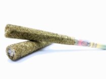 indoor-moon-stick-pre-rolled-joint_the dope warehouse - The Dope Warehouse