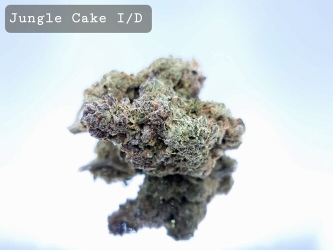 Jungle-Cake-Cannabis the dope warehouse