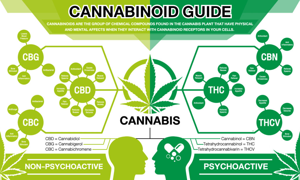 Cannabinoid Guide