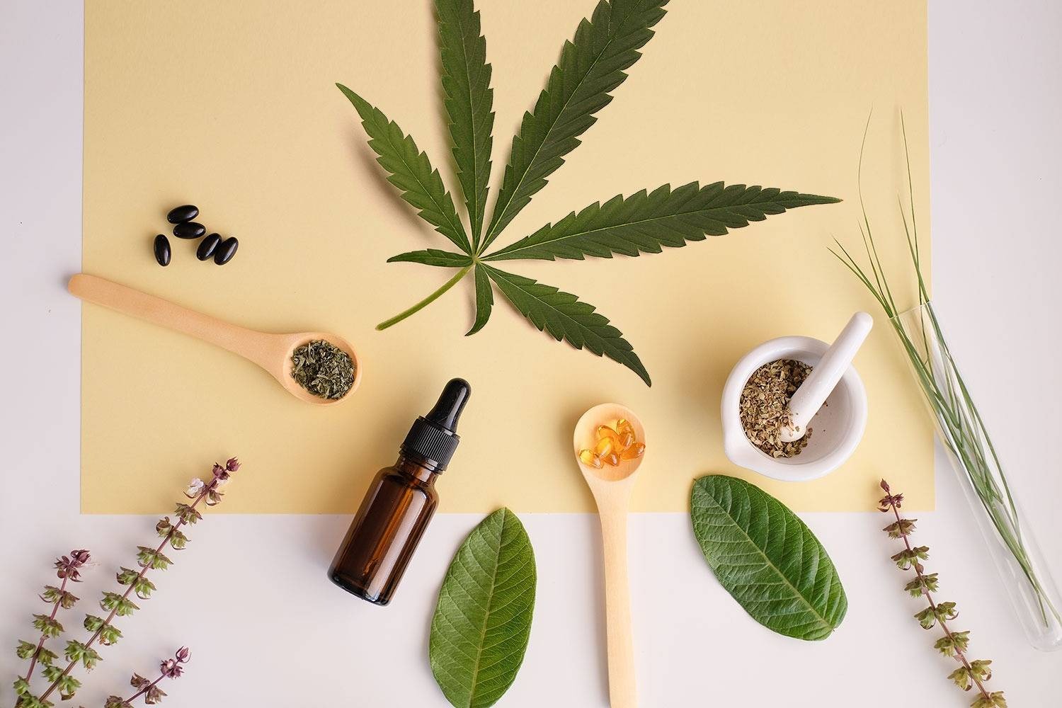 CBD Products the Dope warehouse