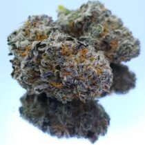 Jet Fuel Indoor strain -The dope warehouse
