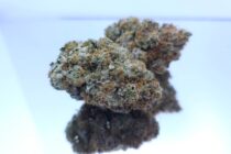 Big Leaf - The Dope Warehouse Big Leaf Dope Warehouse Cannabis