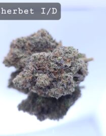 Indoor Blue Sherbert Dope Warehouse THC Strain, dopewarehouse, cannabis, buy cannabis south africa