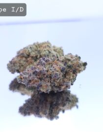 Indoor Grape Ape Dope Warehouse THC Strain, dopewarehouse, cannabis, buy cannabis south africa