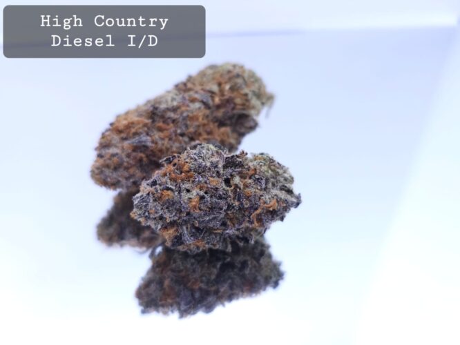 Indoor High Country Diesel Dope Warehouse THC Strain, dopewarehouse, cannabis, buy cannabis south africa