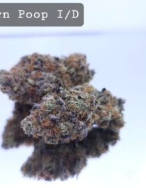 Indoor Unicorn Poop Dope Warehouse THC Strain, dopewarehouse, cannabis, buy cannabis south africa