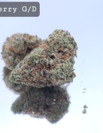 Greendoor Sour Berry Dope Warehouse THC Strain, dopewarehouse, cannabis, buy cannabis south africa