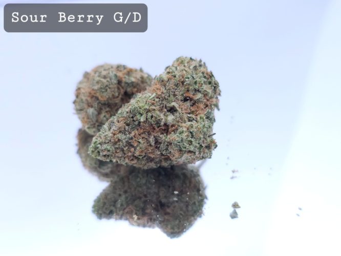 Greendoor Sour Berry Dope Warehouse THC Strain, dopewarehouse, cannabis, buy cannabis south africa