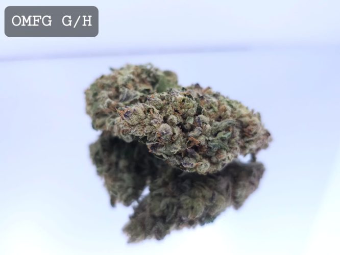 Greenhouse OMFG Dope Warehouse THC Strain, dopewarehouse, cannabis, buy cannabis south africa