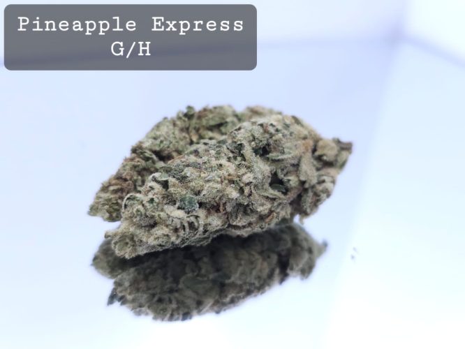 Greenhouse Pineapple Express Dope Warehouse THC Strain, dopewarehouse, cannabis, buy cannabis south africa