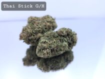 Greenhouse Thai Stick Dope Warehouse THC Strain, dopewarehouse, cannabis, buy cannabis south africa - The Dope Warehouse Greenhouse Thai Stick Dope Warehouse THC Strain, dopewarehouse, cannabis, buy cannabis south africa