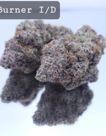 Indoor AfterBurner Dope Warehouse THC Strain, dopewarehouse, cannabis, buy cannabis south africa