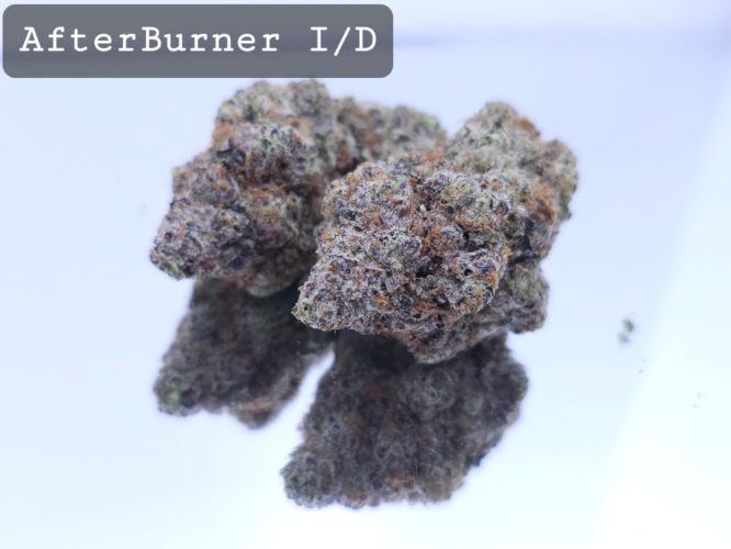 Indoor AfterBurner Dope Warehouse THC Strain, dopewarehouse, cannabis, buy cannabis south africa