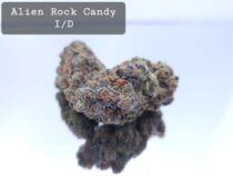 Indoor Alien Rock Candy Dope Warehouse THC Strain, dopewarehouse, cannabis, buy cannabis south africa - The Dope Warehouse Indoor Alien Rock Candy Dope Warehouse THC Strain, dopewarehouse, cannabis, buy cannabis south africa