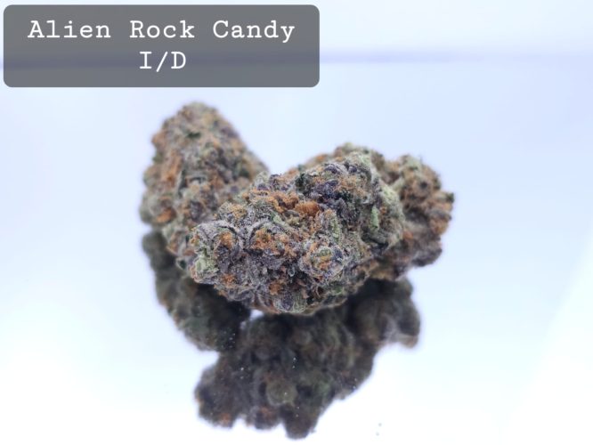 Indoor Alien Rock Candy Dope Warehouse THC Strain, dopewarehouse, cannabis, buy cannabis south africa