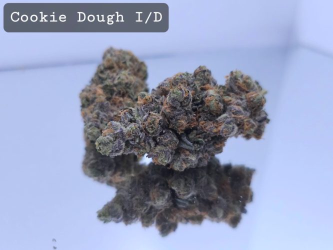 Indoor Cookie Dough Dope Warehouse THC Strain, dopewarehouse, cannabis, buy cannabis south africa