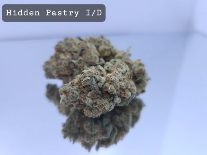 Indoor Hidden Pastry Dope Warehouse THC Strain, dopewarehouse, cannabis, buy cannabis south africa