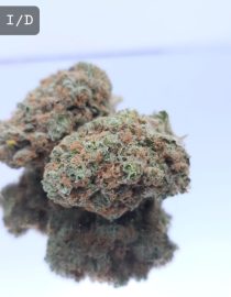 Indoor Mexican Dope Warehouse THC Strain, dopewarehouse, cannabis, buy cannabis south africa