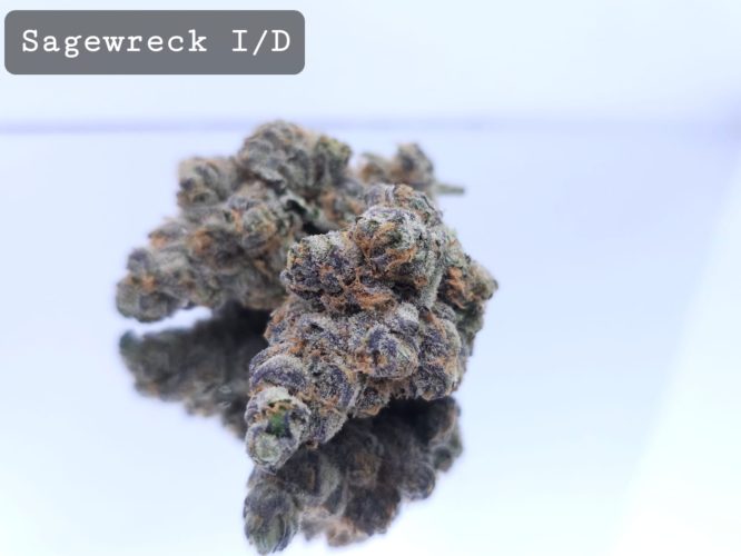 Indoor Sagewreck Dope Warehouse THC Strain, dopewarehouse, cannabis, buy cannabis south africa