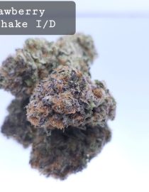 Indoor Strawberry Milkshake Dope Warehouse THC Strain, dopewarehouse, cannabis, buy cannabis south africa