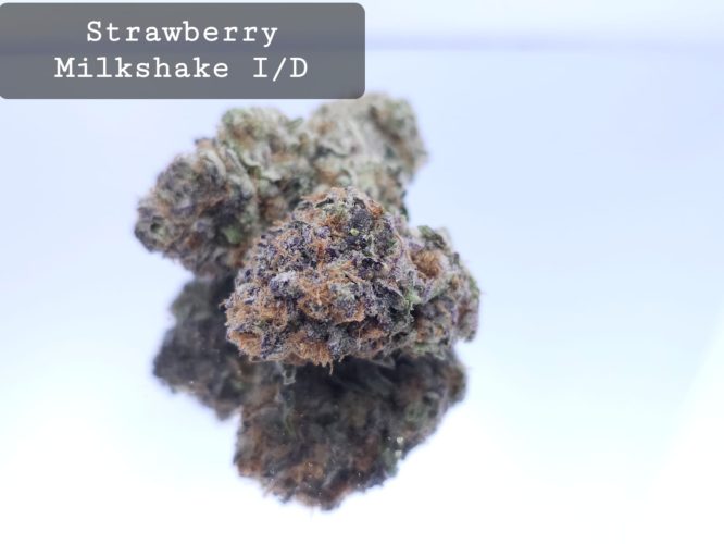 Indoor Strawberry Milkshake Dope Warehouse THC Strain, dopewarehouse, cannabis, buy cannabis south africa