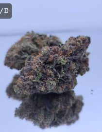 Indoor WIFI Candy Dope Warehouse THC Strain, dopewarehouse, cannabis, buy cannabis south africa