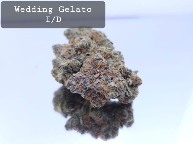 Indoor Wedding Gelato Dope Warehouse THC Strain, dopewarehouse, cannabis, buy cannabis south africa