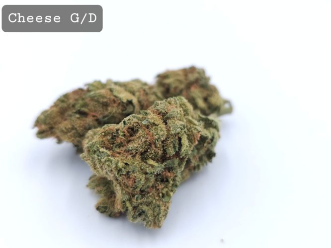 Greendoor Cheese, The Dope Warehouse, Cannabis, THC, Bud, Weed