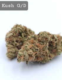 Greendoor Kosher Kush, The Dope Warehouse, Cannabis, THC, Bud, Weed