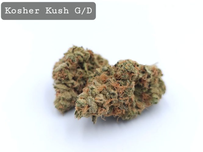 Greendoor Kosher Kush, The Dope Warehouse, Cannabis, THC, Bud, Weed