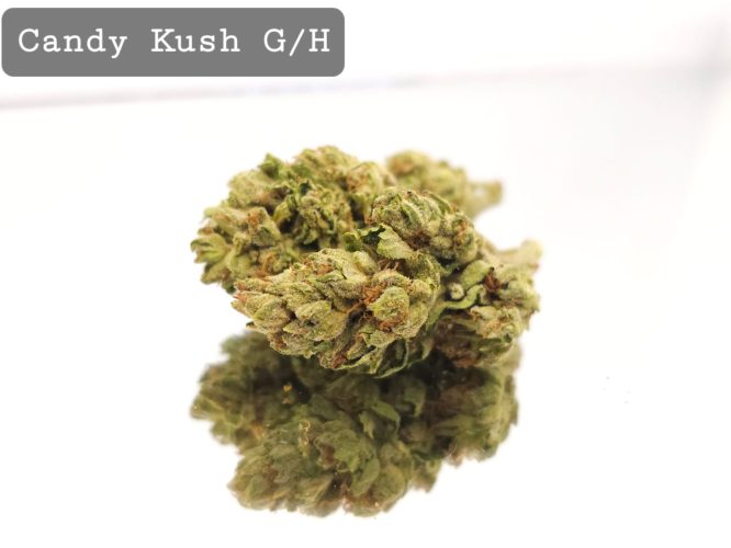 Greenhouse Candy Kush, The Dope Warehouse, Cannabis, THC, Bud, Weed