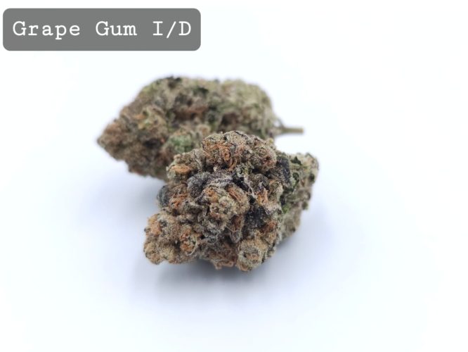Indoor Grape Gum, The Dope Warehouse, Cannabis, THC, Bud, Weed