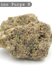 Indoor Mendocino Purps_Cannabis Bud_Hydro Cannabis_The dope warehouse