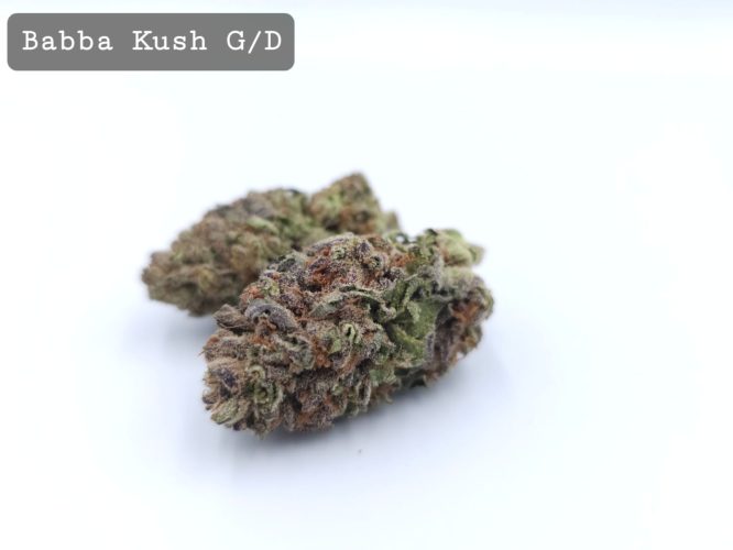 Greendoor Babba Kush, The Dope Warehouse, Cannabis, THC, Bud, Weed