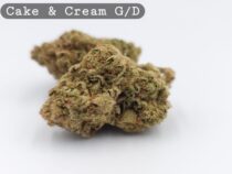 Greendoor Cake & Cream, The Dope Warehouse, Cannabis, THC, Bud, Weed - The Dope Warehouse Greendoor Cake & Cream, The Dope Warehouse, Cannabis, THC, Bud, Weed