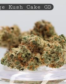 Greendoor Orange Kush Cake_Greendoor bud_ AAA Cannabis_ Flower_weed_the dope warehouse