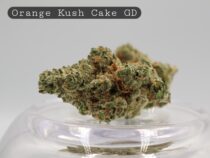 Greendoor-Orange-Kush-Cake_Greendoor-bud_Cannabis_-Flower_weed_the-dope-warehouse - The Dope Warehouse Greendoor-Orange-Kush_Cannabis-Flower_The-Dope-Warehouse