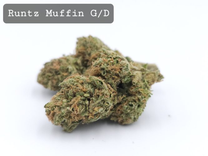 Greendoor Runtz Muffin, The Dope Warehouse, Cannabis, THC, Bud, Weed