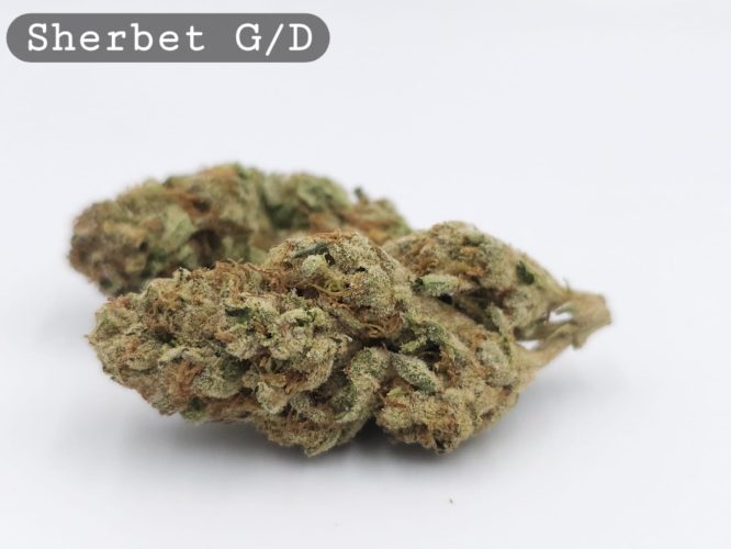 Greendoor Sherbet, The Dope Warehouse, Cannabis, THC, Bud, Weed