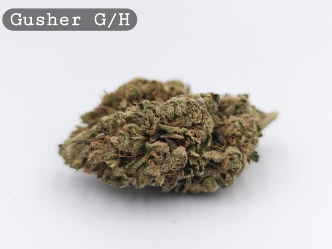 Greenhouse Gushers, The Dope Warehouse, Cannabis, THC, Bud, Weed