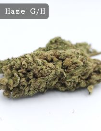 Greenhouse Silver Haze, The Dope Warehouse, Cannabis, THC, Bud, Weed