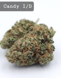 Indoor Cotton Candy, The Dope Warehouse, Cannabis, THC, Bud, Weed