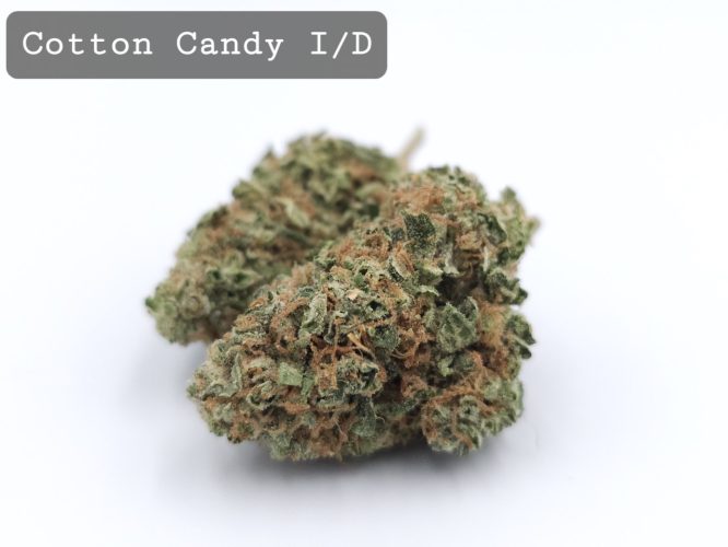 Indoor Cotton Candy, The Dope Warehouse, Cannabis, THC, Bud, Weed