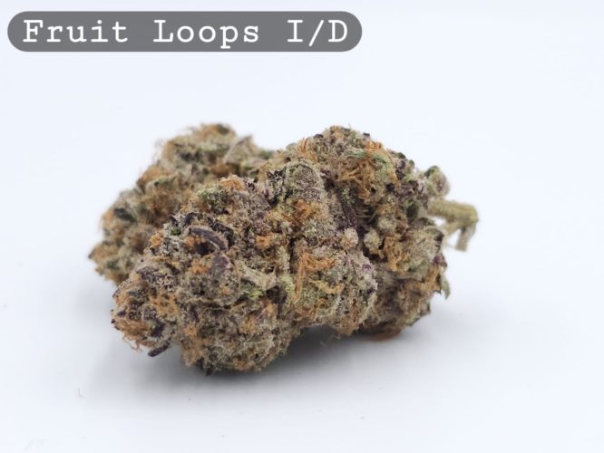 Indoor Fruit Loops, The Dope Warehouse, Cannabis, THC, Bud, Weed