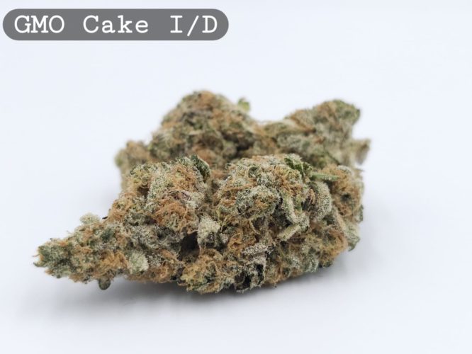 Indoor GMO Cake, The Dope Warehouse, Cannabis, THC, Bud, Weed