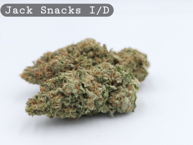 Indoor Jack Snacks, The Dope Warehouse, Cannabis, THC, Bud, Weed