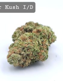 Indoor Kosher Kush, The Dope Warehouse, Cannabis, THC, Bud, Weed