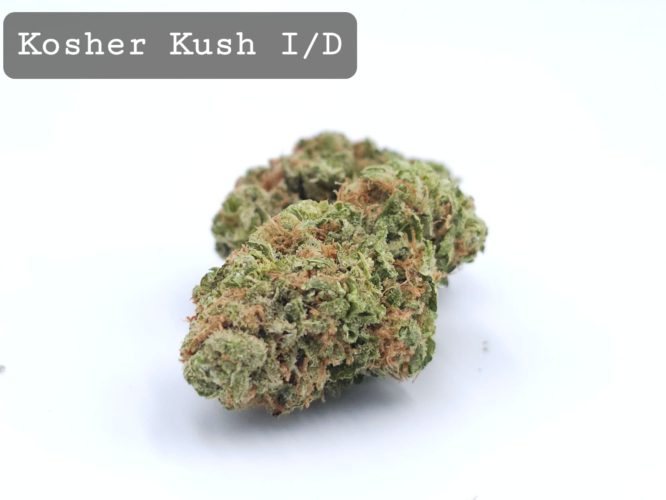 Indoor Kosher Kush, The Dope Warehouse, Cannabis, THC, Bud, Weed