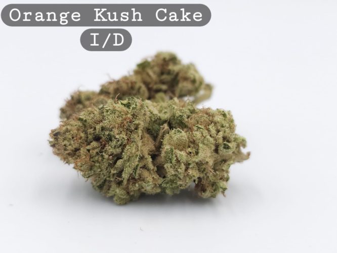 Indoor Orange Kush Cake, The Dope Warehouse, Cannabis, THC, Bud, Weed